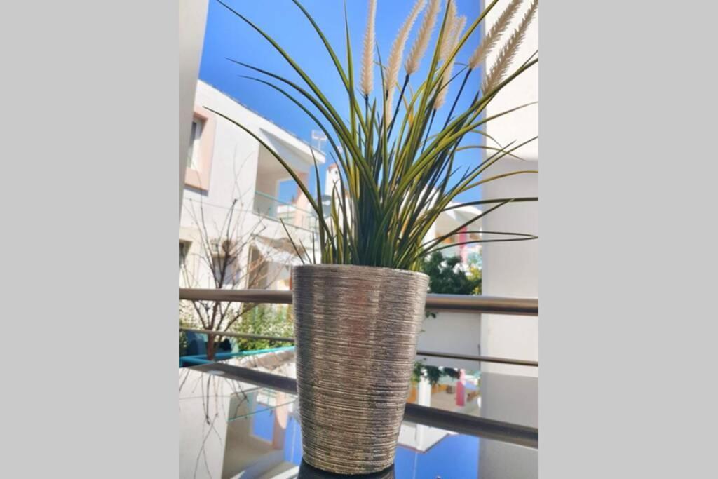 Polychrono New 2 Bedroom Apt. Just By The Sea! エクステリア 写真
